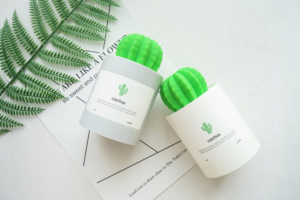 気に入って買ってしまった２つのサボテンのオブジェ